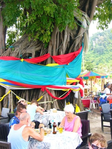 Phi Phi Don Lunch Under Banyan